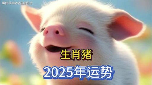 2025年猪的运势吉日表在8月吗？猪佩戴什么吉祥物更吉利？