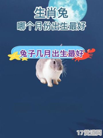 农历四月兔宝宝出生选什么吉日？农历七月兔宝宝出生选什么吉日？
